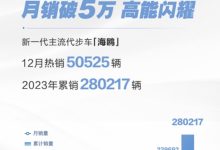 2023年海鸥销量达28万辆 12月卖出5万辆-南方汽车网