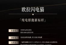 闪电猫/好猫等 欧拉至高现金减免3万元-南方汽车网