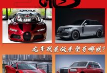 车企如何迎新年 龙年限量版车型盘点-南方汽车网