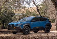 会有新产品？斯巴鲁注册12款新商标-南方汽车网