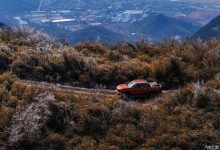 新能源皮卡蓄势爆发 增程车胜算几何？-南方汽车网