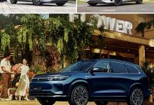 比亚迪秦L等 本周将上市/首发新车前瞻-南方汽车网