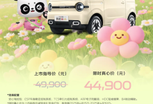限时抢购价为4.49万/续航210公里 2025款熊猫mini元气熊上市-南方汽车网